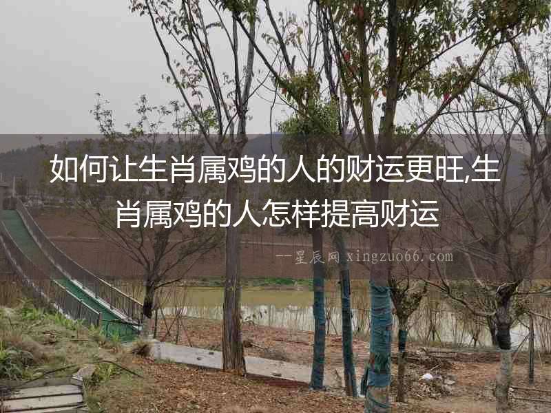 如何讓生肖屬雞的人的財運更旺,生肖屬雞的人怎樣提高財運