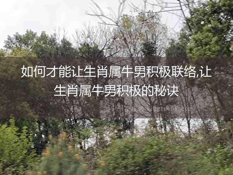 如何才能讓生肖屬牛男積極聯(lián)絡(luò),讓生肖屬牛男積極的秘訣