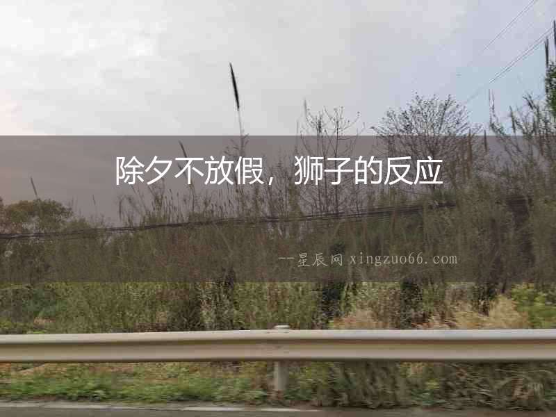 除夕不放假，獅子的反應(yīng)
