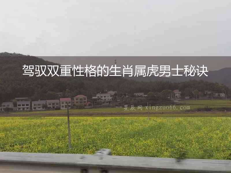 駕馭雙重性格的生肖屬虎男士秘訣