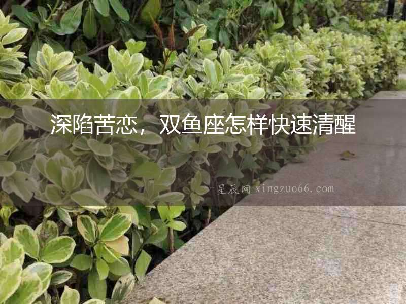 深陷苦戀，雙魚座怎樣快速清醒