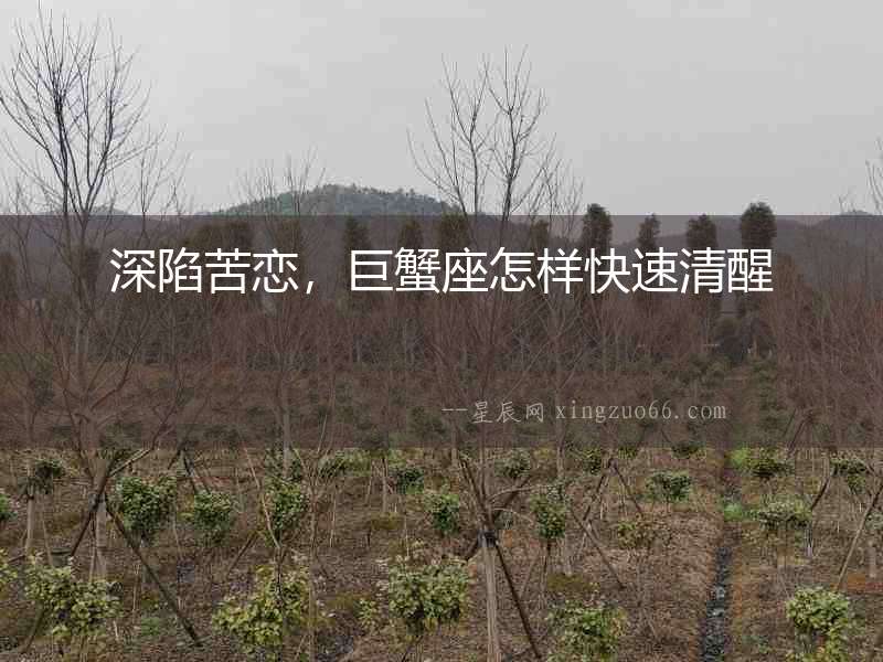深陷苦戀，巨蟹座怎樣快速清醒