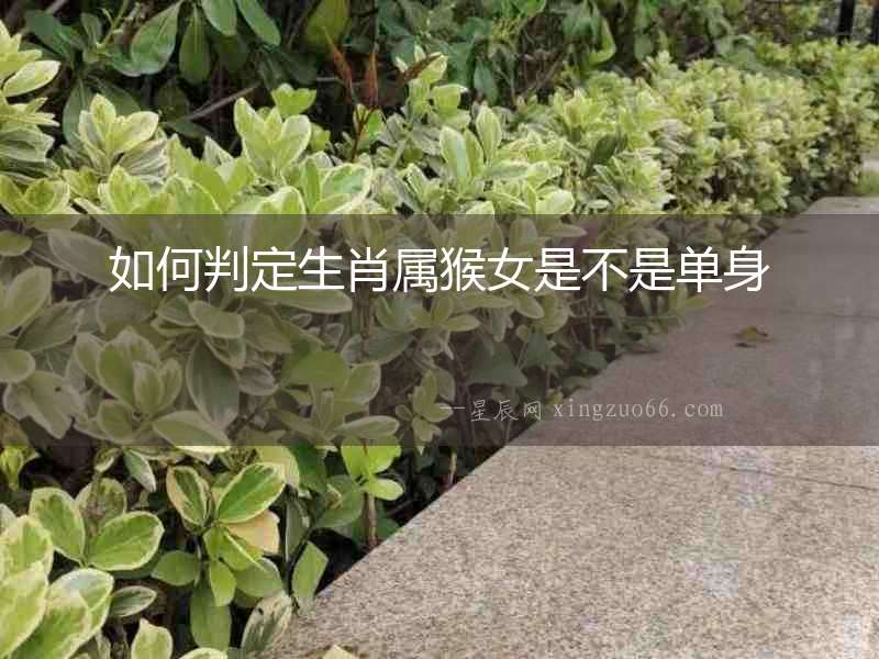 如何判定生肖屬猴女是不是單身