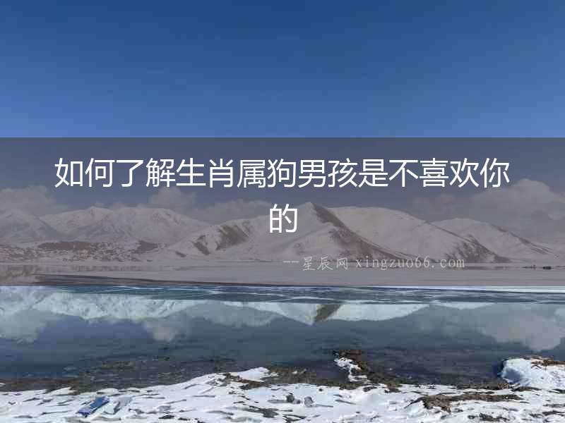 如何了解生肖屬狗男孩是不喜歡你的