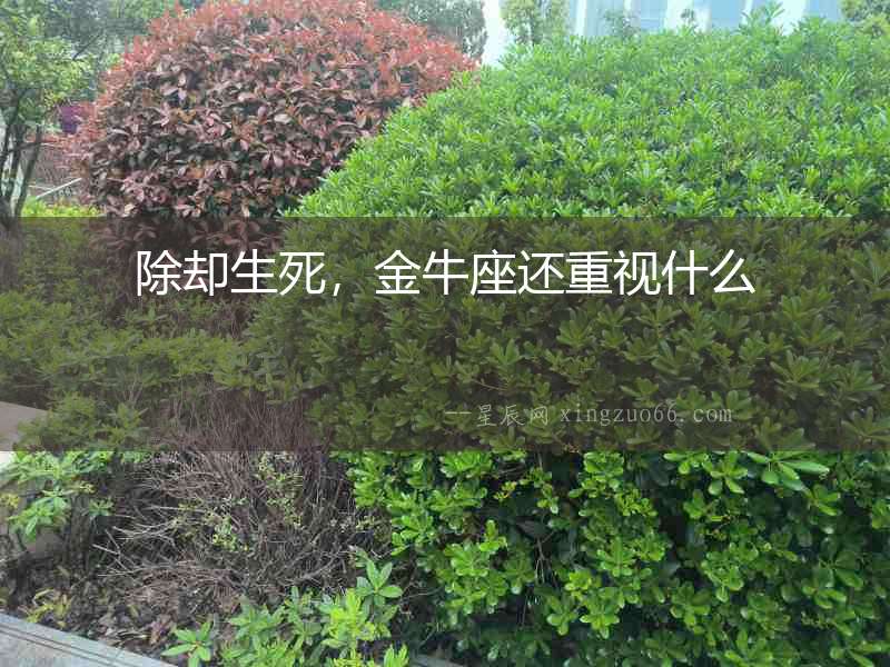 除卻生死，金牛座還重視什么