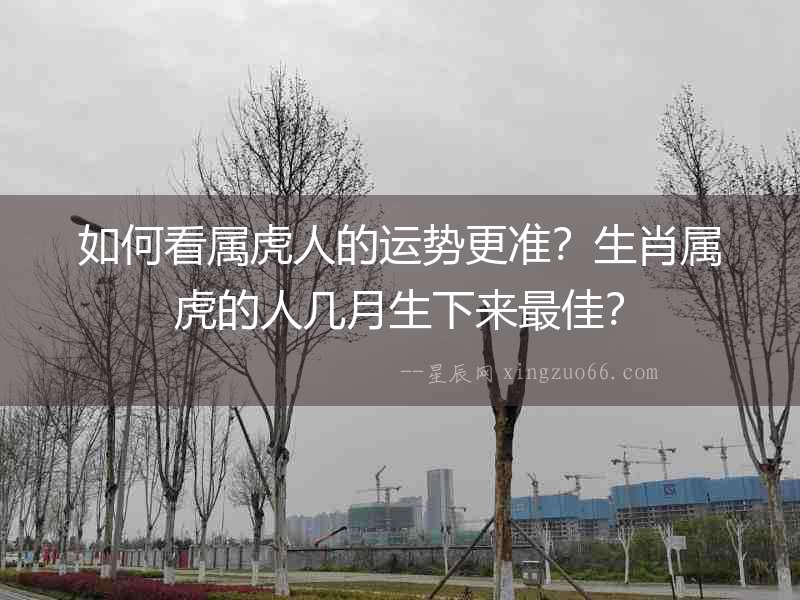 如何看屬虎人的運勢更準？生肖屬虎的人幾月生下來最佳？