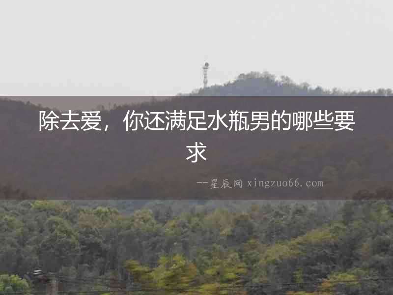 除去愛，你還滿足水瓶男的哪些要求