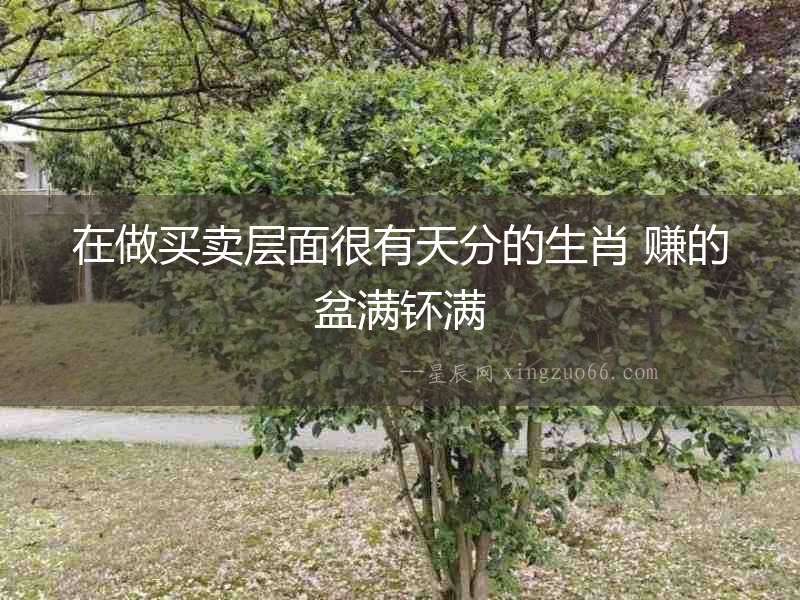 在做買賣層面很有天分的生肖 賺的盆滿钚滿