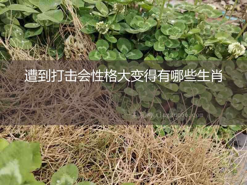 遭到打擊會性格大變得有哪些生肖