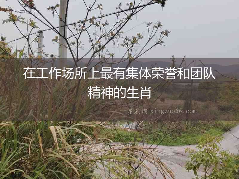 在工作場所上最有集體榮譽和團(tuán)隊精神的生肖