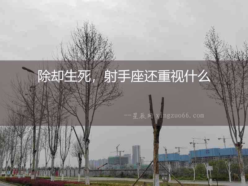 除卻生死，射手座還重視什么