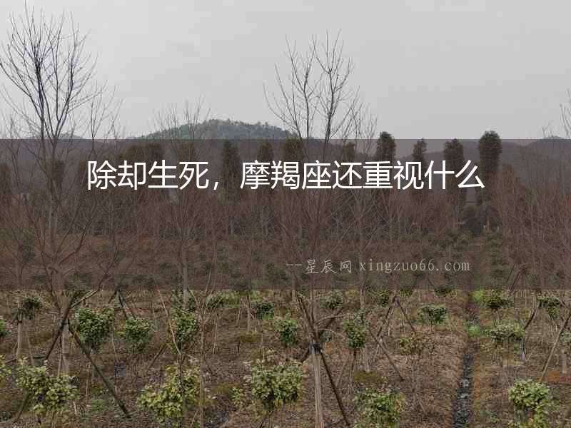 除卻生死，摩羯座還重視什么