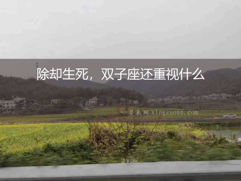 除卻生死，雙子座還重視什么