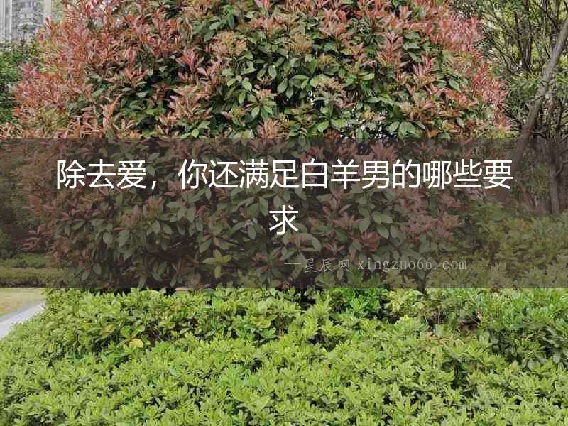 除去愛，你還滿足白羊男的哪些要求