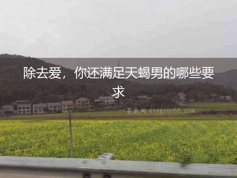 除去愛，你還滿足天蝎男的哪些要求