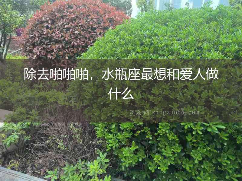 除去啪啪啪，水瓶座最想和愛人做什么