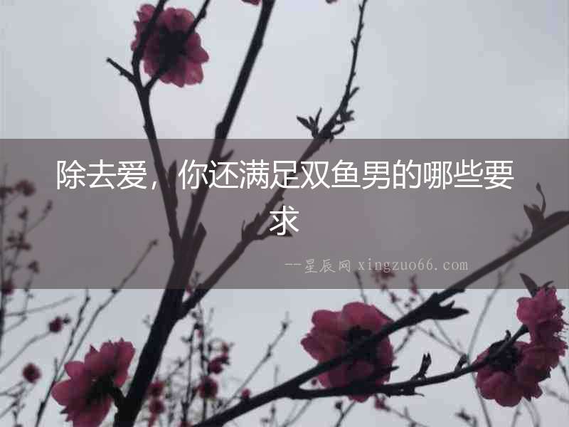 除去愛，你還滿足雙魚男的哪些要求
