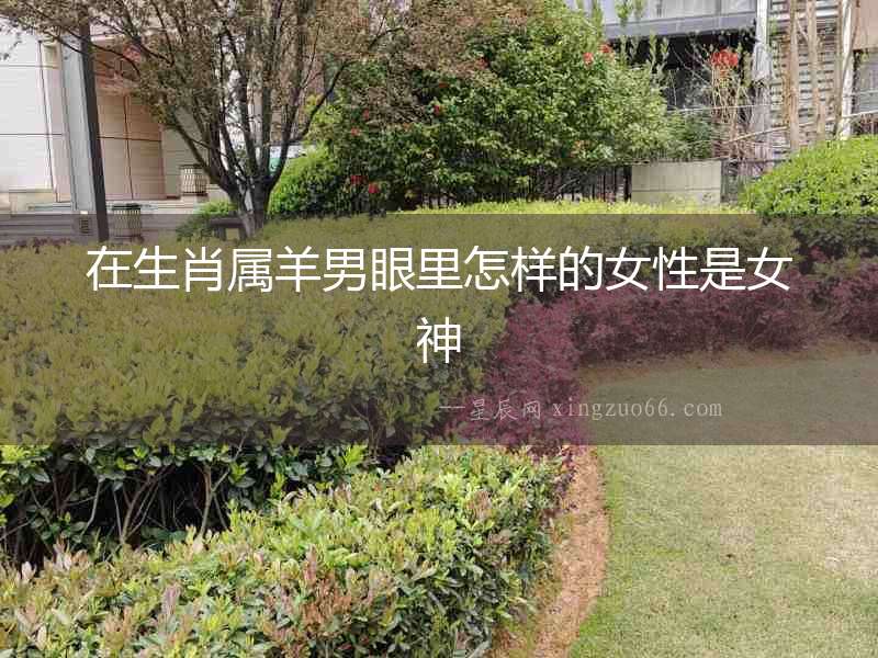 在生肖屬羊男眼里怎樣的女性是女神
