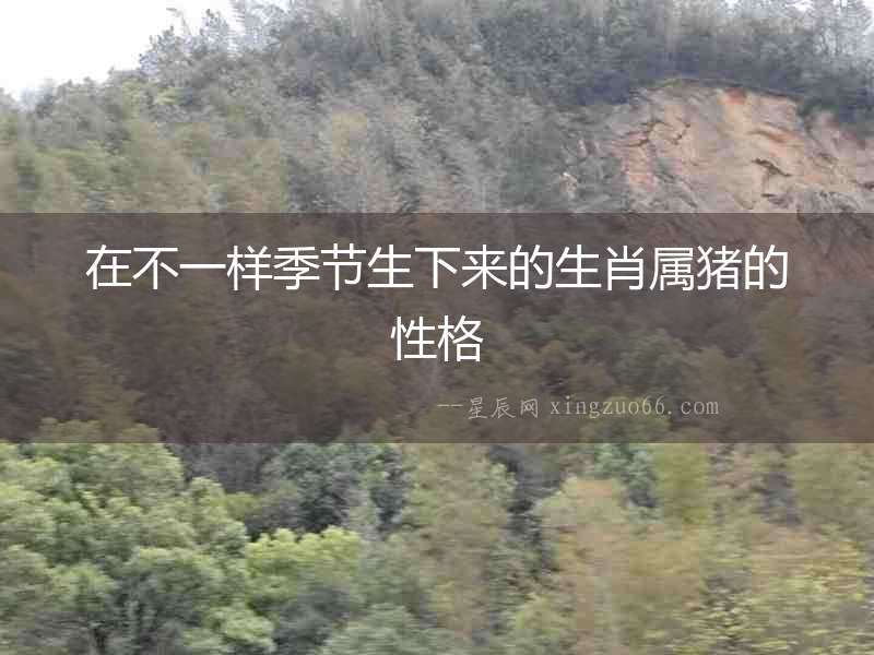 在不一樣季節(jié)生下來的生肖屬豬的性格