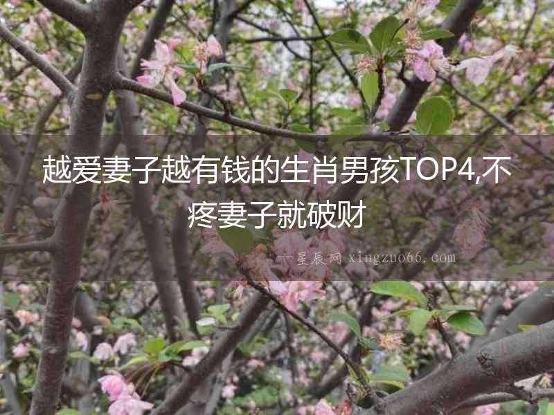 越愛妻子越有錢的生肖男孩TOP4,不疼妻子就破財