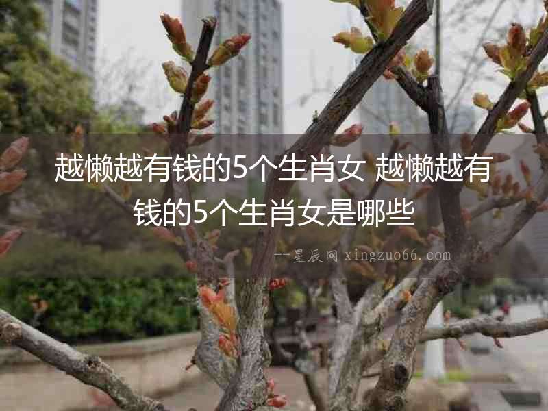 越懶越有錢的5個生肖女 越懶越有錢的5個生肖女是哪些