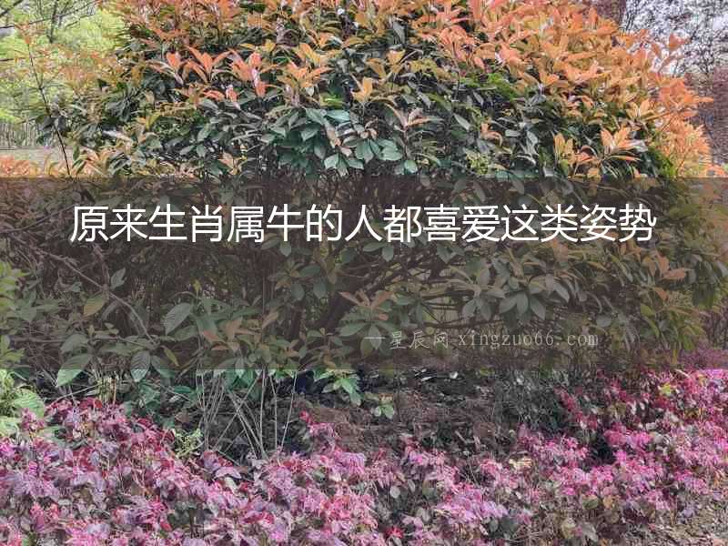 原來生肖屬牛的人都喜愛這類姿勢