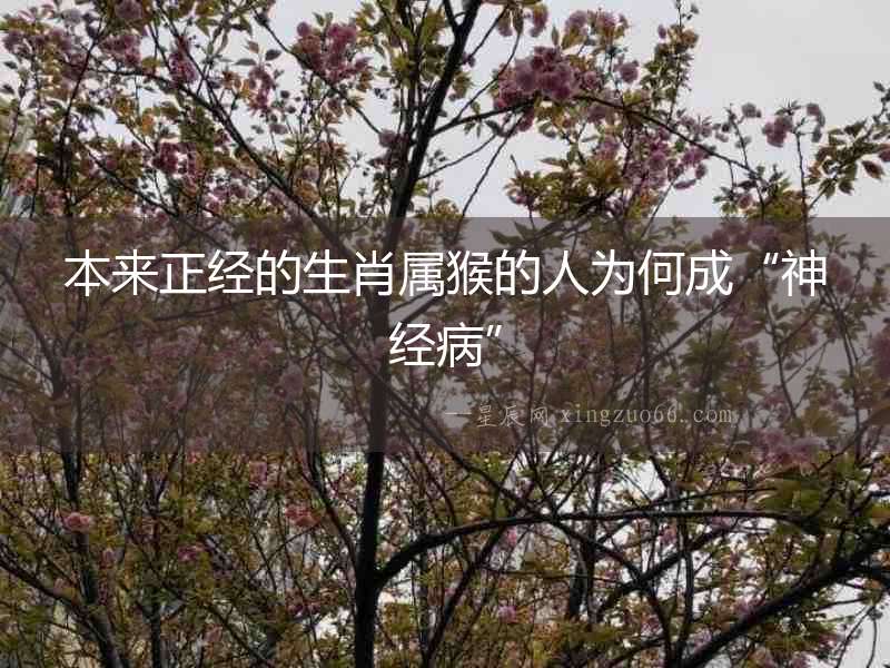 本來正經的生肖屬猴的人為何成“神經病”