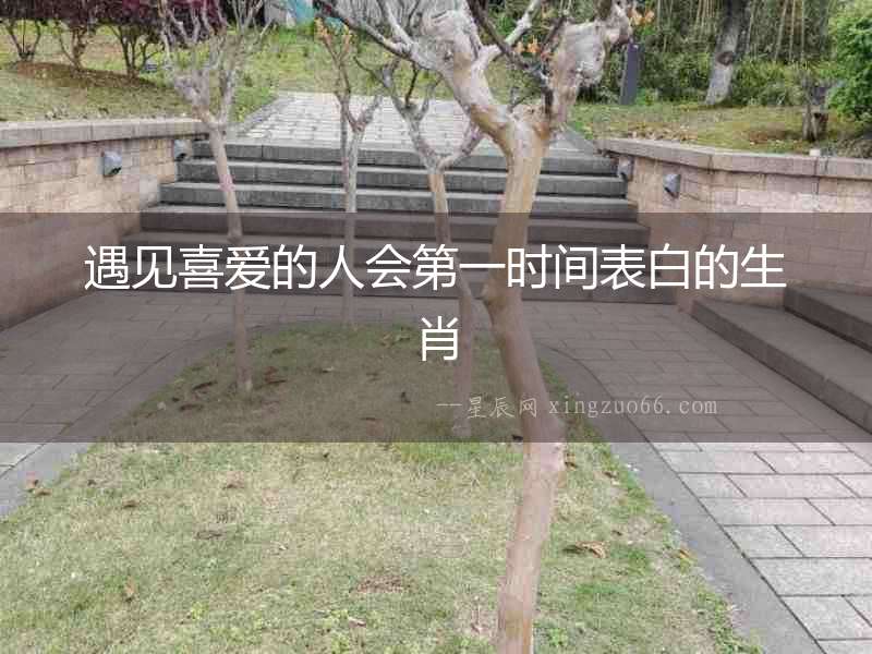 遇見喜愛的人會第一時間表白的生肖