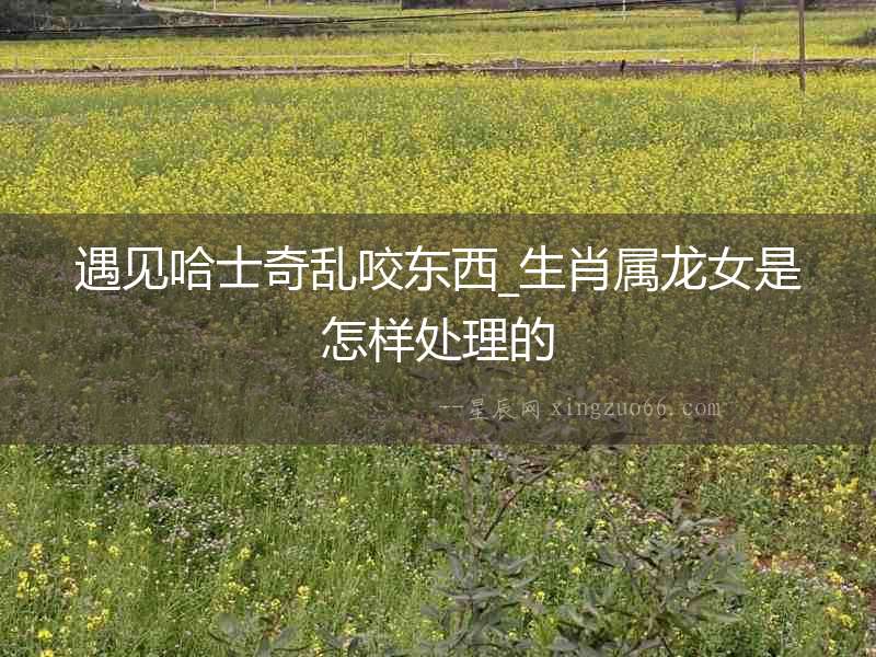 遇見哈士奇亂咬東西_生肖屬龍女是怎樣處理的