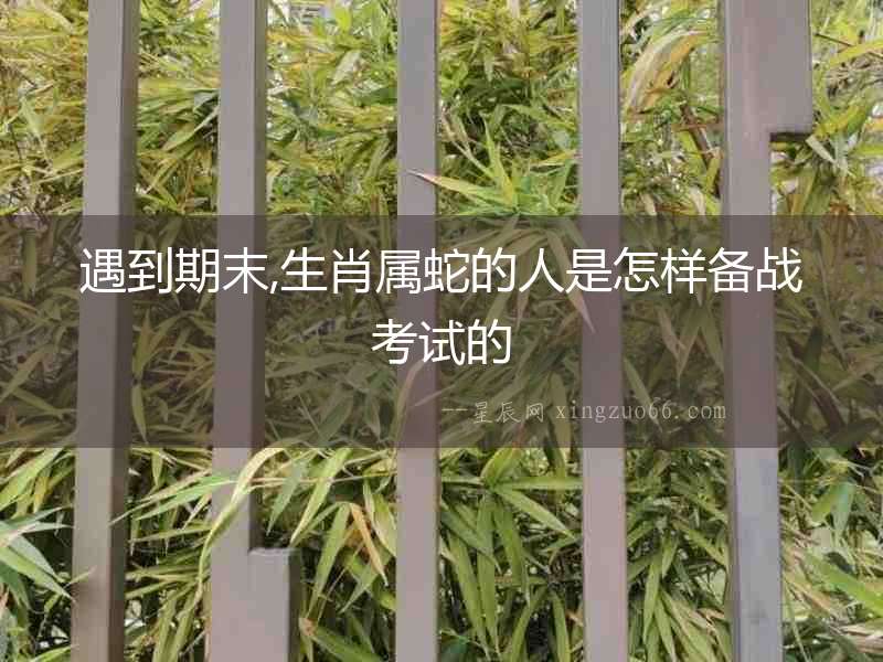 遇到期末,生肖屬蛇的人是怎樣備戰考試的