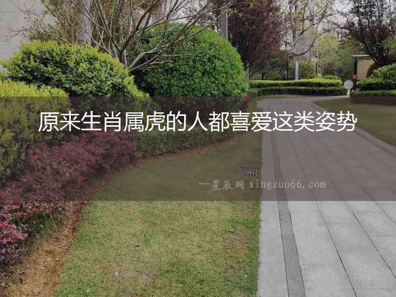原來生肖屬虎的人都喜愛這類姿勢