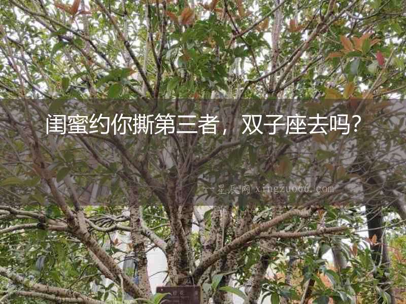 閨蜜約你撕第三者，雙子座去嗎？