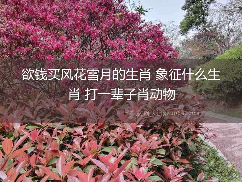 欲錢買風(fēng)花雪月的生肖 象征什么生肖 打一輩子肖動(dòng)物