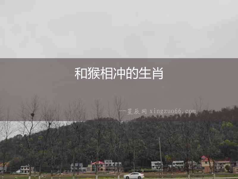 和猴相沖的生肖