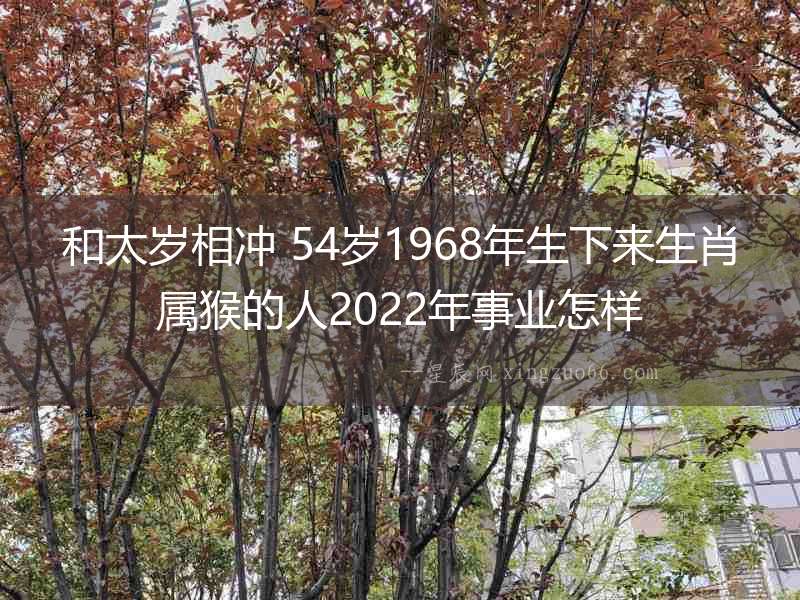 和太歲相沖 54歲1968年生下來生肖屬猴的人2022年事業怎樣
