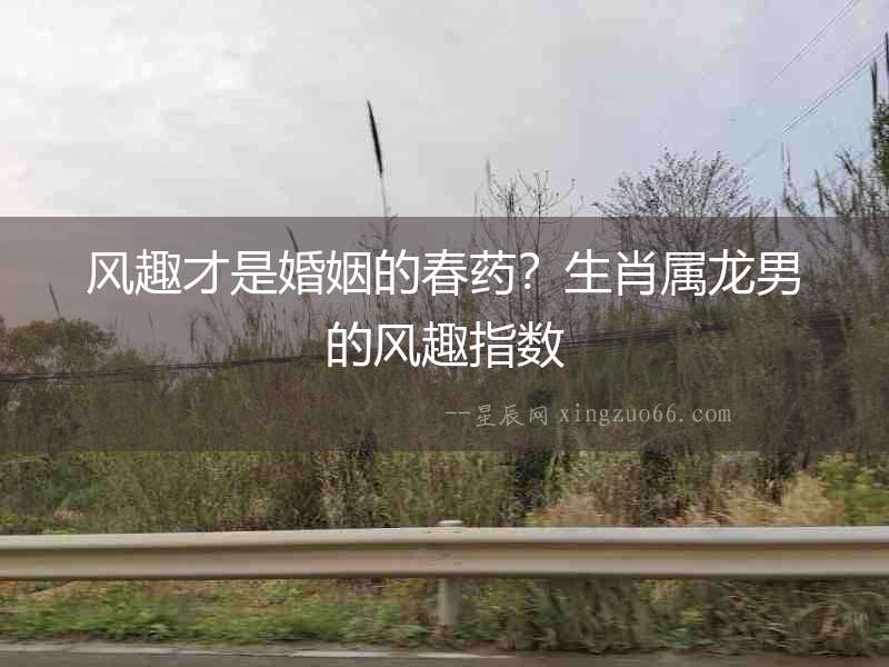 風趣才是婚姻的春藥？生肖屬龍男的風趣指數(shù)