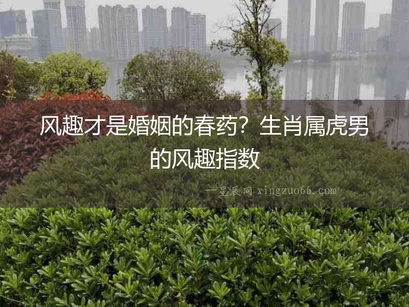 風趣才是婚姻的春藥？生肖屬虎男的風趣指數