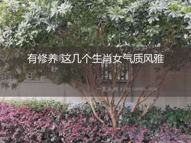 有修養(yǎng) 這幾個(gè)生肖女氣質(zhì)風(fēng)雅