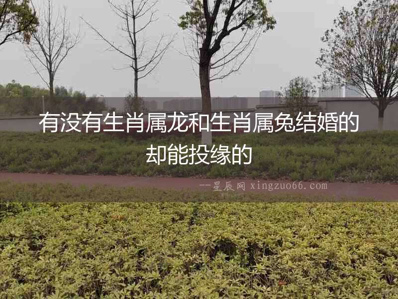 有沒有生肖屬龍和生肖屬兔結(jié)婚的卻能投緣的