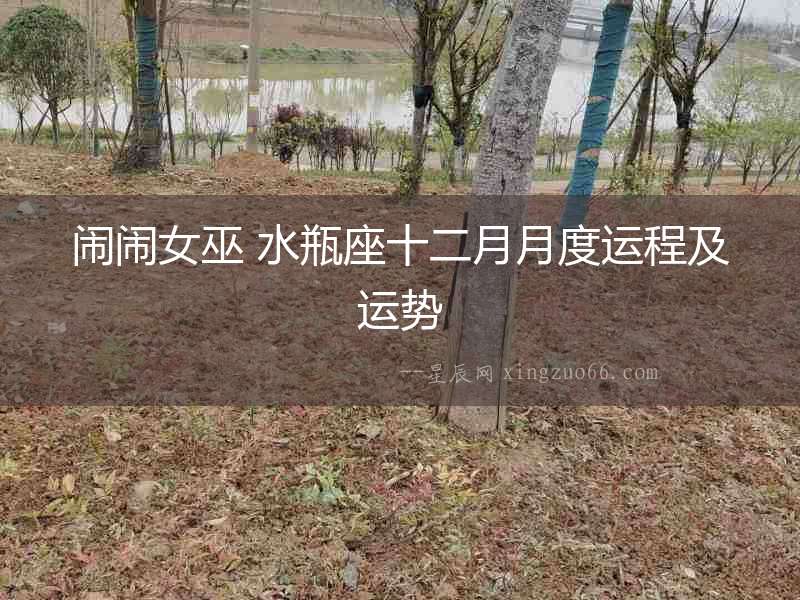 鬧鬧女巫 水瓶座十二月月度運程及運勢