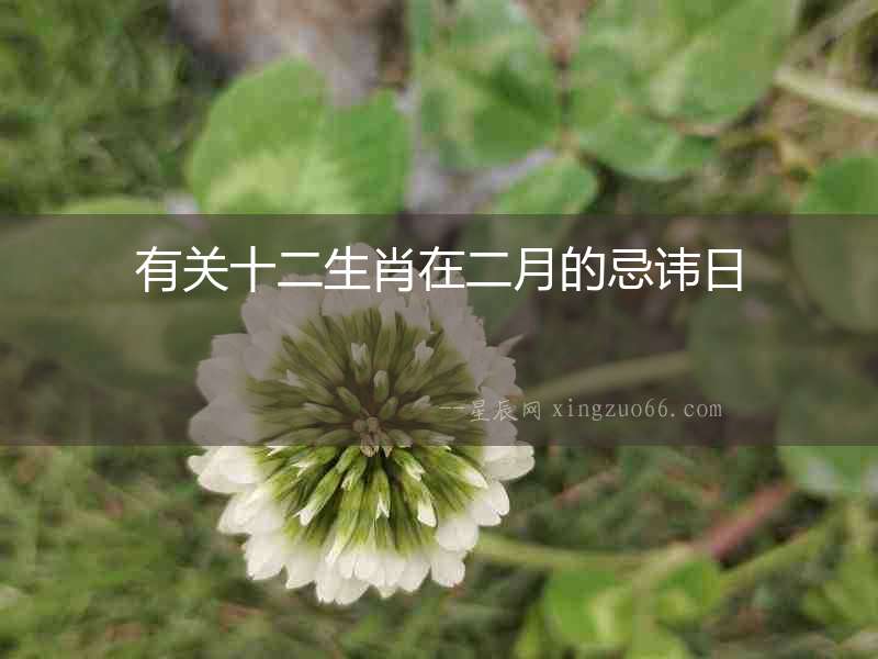 有關十二生肖在二月的忌諱日