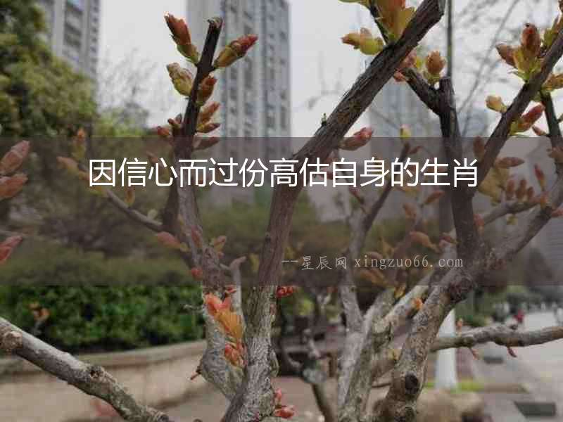 因信心而過份高估自身的生肖