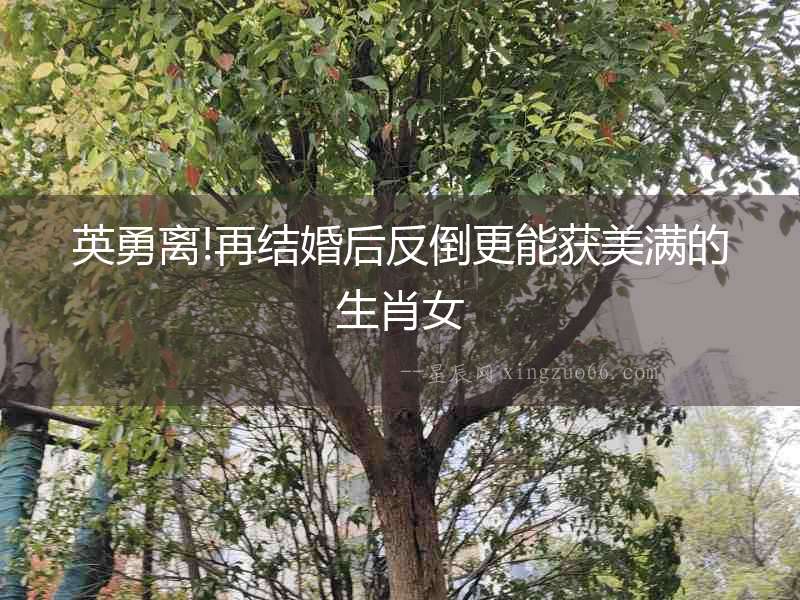 英勇離!再結婚后反倒更能獲美滿的生肖女