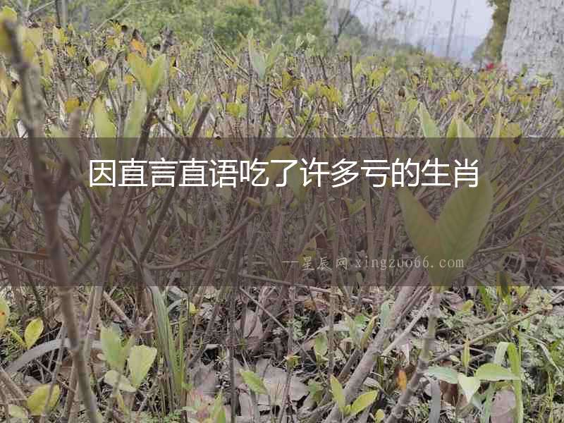 因直言直語吃了許多虧的生肖