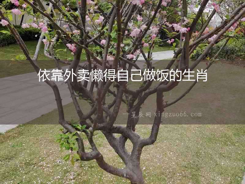 依靠外賣懶得自己做飯的生肖