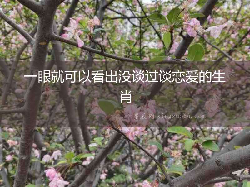 一眼就可以看出沒談過談戀愛的生肖