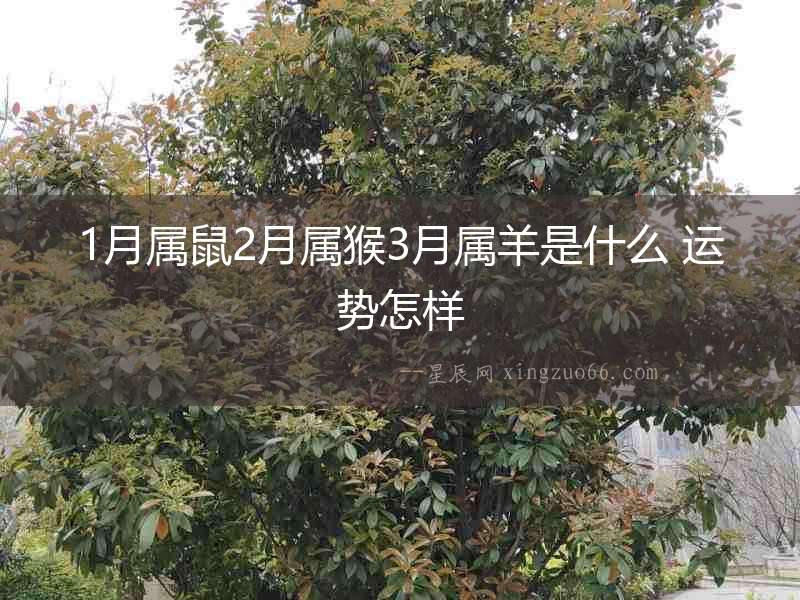 1月屬鼠2月屬猴3月屬羊是什么 運(yùn)勢怎樣