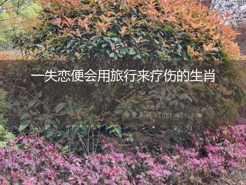 一失戀便會用旅行來療傷的生肖