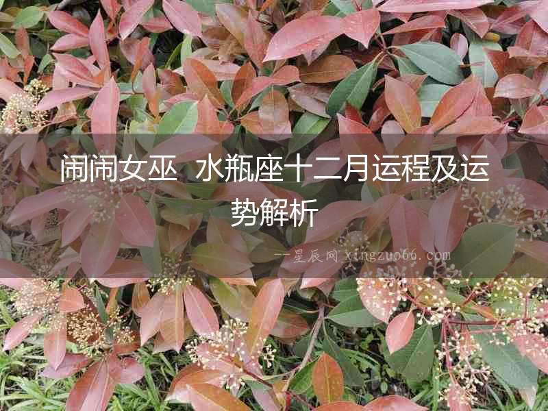 鬧鬧女巫  水瓶座十二月運(yùn)程及運(yùn)勢解析