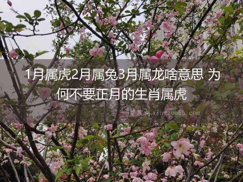 1月屬虎2月屬兔3月屬龍啥意思 為何不要正月的生肖屬虎